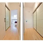 ラウラ ラックス スイーツ
